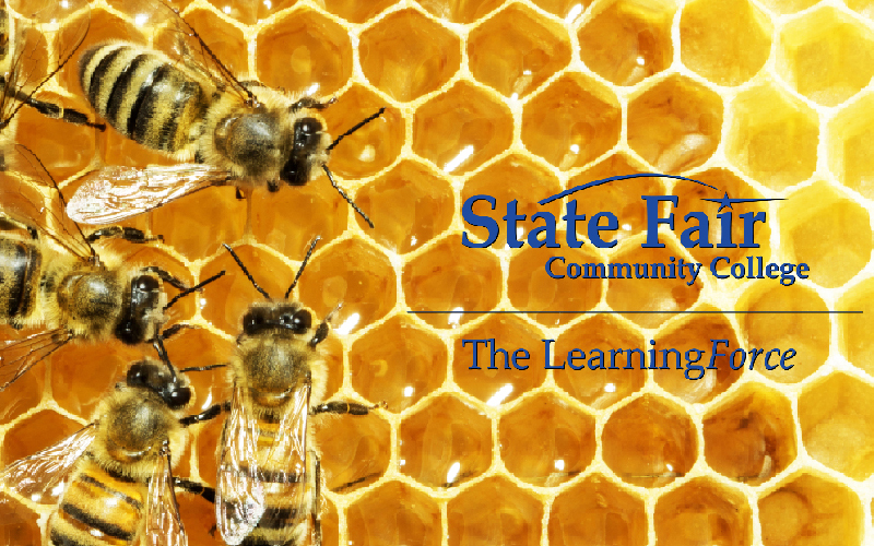 Read more about Beekeeping classes start Jan. 12